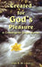 Created for God's Pleasure: A Challenge for Single Women by Joan B. St Louis