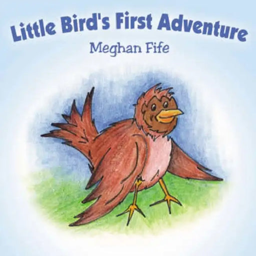 Little Bird's First Adventure by Meghan Fife