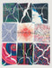 Color Copy Interpretations: Around My World by Genevieve Votra