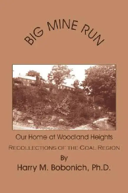 Big Mine Run by Harry M. Bobonich