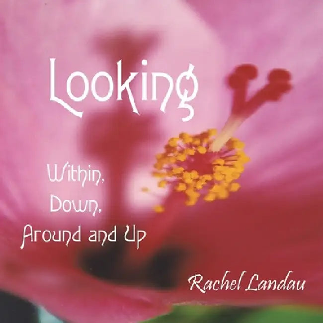 Looking: Within, Down, Around and Up by Rachel Landau