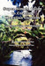 Super Simple Guide to Creating Hawaiian Gardens: For Kama`aina and Malihini by Barbara Fahs