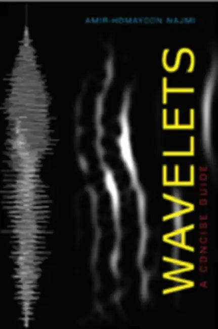 Wavelets: A Concise Guide by Amir-Homayoon Najmi