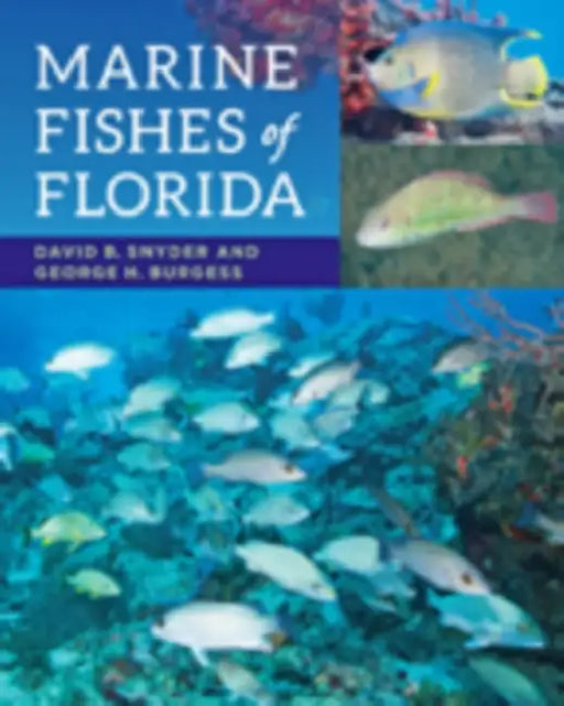 Marine Fishes of Florida by David B. Snyder, George H. Burgess