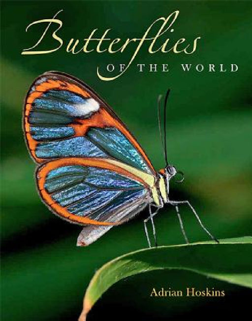 Butterflies of the World by Adrian Hoskins