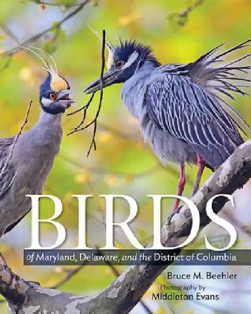 Birds of Maryland, Delaware, and the District of Columbia by Bruce M. Beehler, Middleton Evans, Chandler S. Robbins