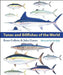 Tunas and Billfishes of the World by Bruce Collette