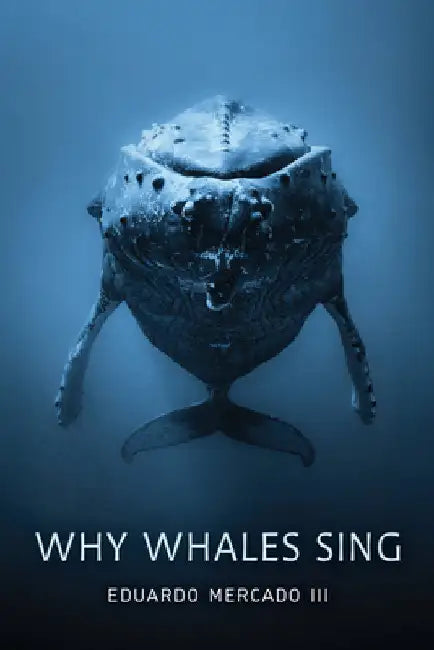 Why Whales Sing by Mercado, Eduardo