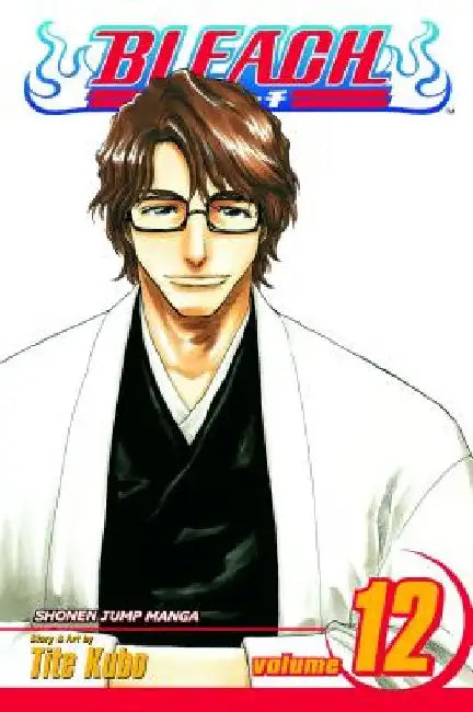Bleach, Volume 12 by Tite Kubo