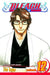 Bleach, Volume 12 by Tite Kubo