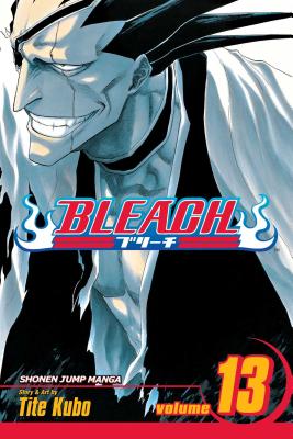 Bleach, Volume 13 by Tite Kubo