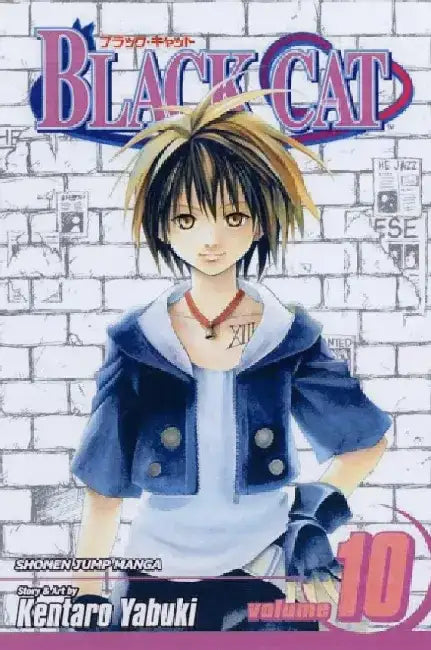 Black Cat, Volume 10 by Kentaro Yabuki