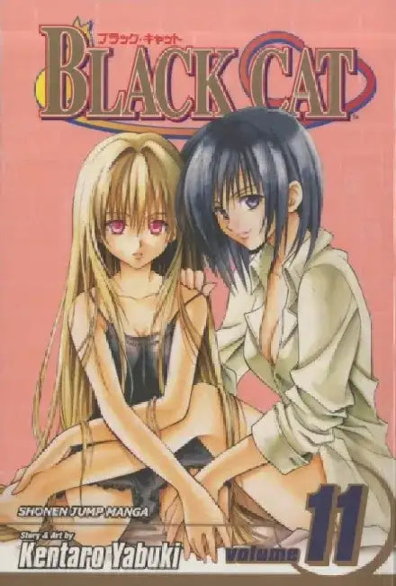 Black Cat, Volume 11 by Kentaro Yabuki