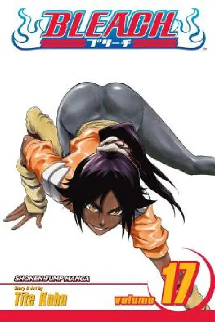 Bleach, Volume 17 by Tite Kubo