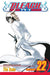 Bleach, Volume 22 by Tite Kubo