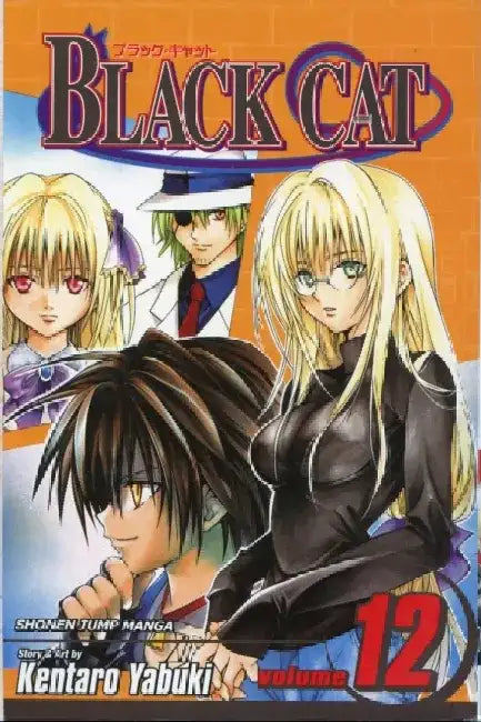 Black Cat, Volume 12 by Kentaro Yabuki