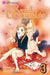 Sand Chronicles, Volume 3 by Hinako Ashihara