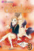 Sand Chronicles, Volume 3 by Hinako Ashihara