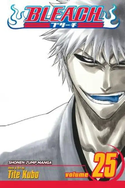 Bleach, Volume 25 by Tite Kubo