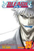 Bleach, Volume 25 by Tite Kubo