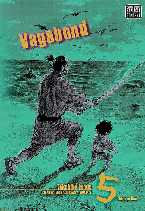 Vagabond, Vol. 5 (Vizbig Edition): Glimmering Waves