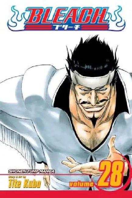 Bleach, Volume 28 by Tite Kubo