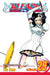 Bleach, Volume 29 by Tite Kubo