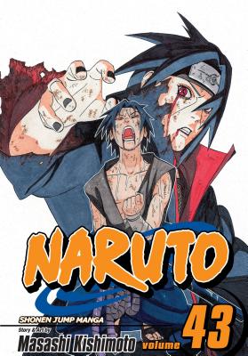 Naruto, V43 by Masashi Kishimoto