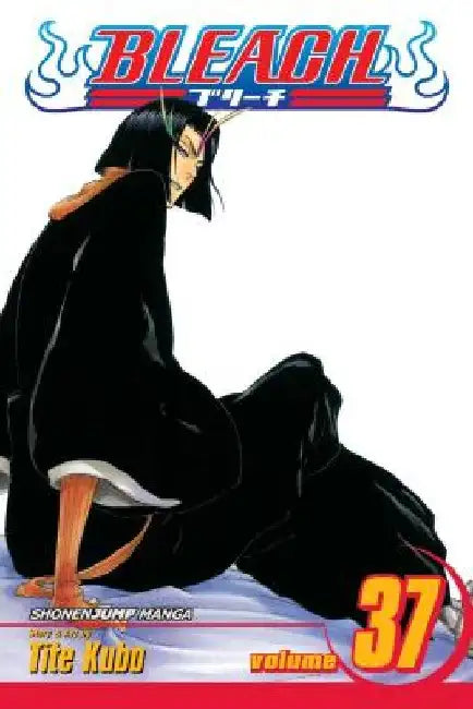 Bleach, Volume 37 by Tite Kubo