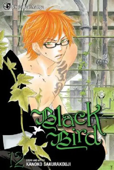 Black Bird, Volume 12 by Kanoko Sakurakoji