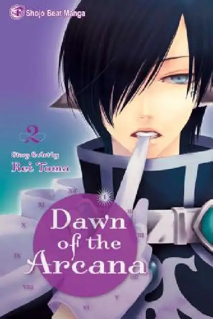 Dawn of the Arcana, Vol. 2 by Rei Toma