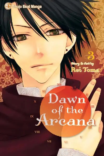 Dawn of the Arcana, Volume 3 by Rei Toma