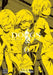Dogs, Volume 6 by Shirow Miwa