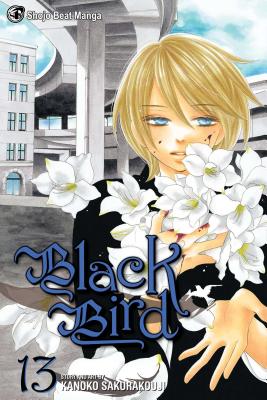 Black Bird, Volume 13 by Kanoko Sakurakoji