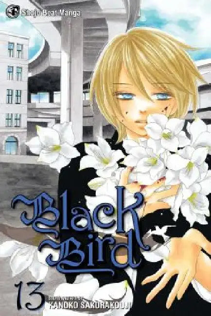 Black Bird, Volume 13 by Kanoko Sakurakoji