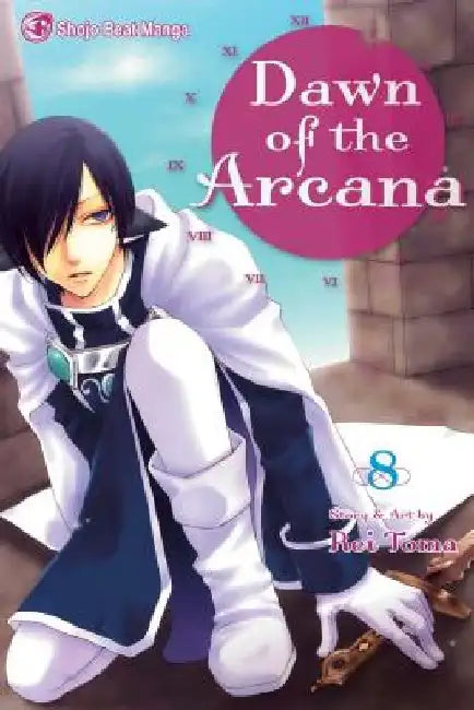 Dawn of the Arcana, Volume 8 by Rei Toma