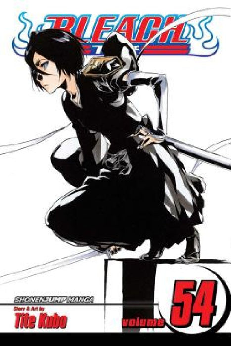 Bleach, Volume 54