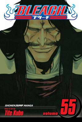 Bleach, Volume 55 by Tite Kubo