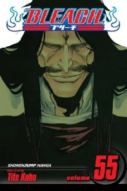 Bleach, Volume 55 by Tite Kubo