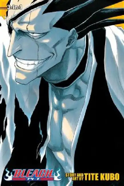 Bleach, Volumes 13-15 by Tite Kubo