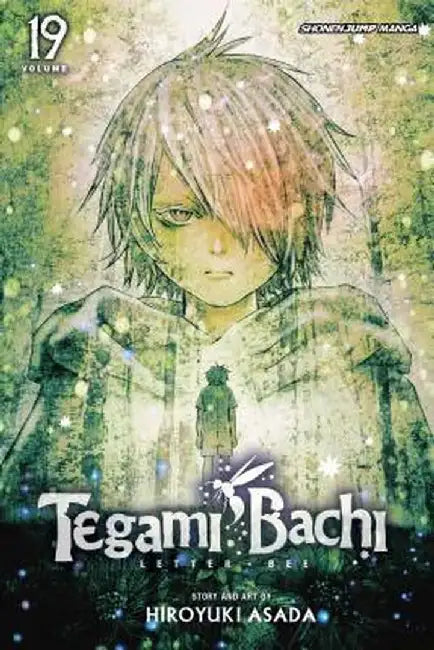 Tegami Bachi, Vol. 19 by Hiroyuki Asada