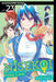 Nisekoi: False Love, Vol. 23 by Naoshi Komi