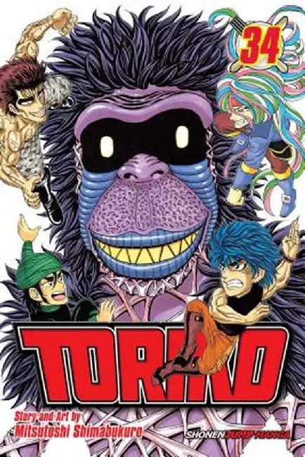 Toriko, Vol. 41: The King's Fight!! by Mitsutoshi Shimabukuro