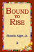 Bound to Rise by Jr. Alger Horatio, 1st World Library, 1stworld Library