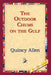 The Outdoor Chums on the Gulf by Quincy Allen, 1stworld Library