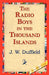 The Radio Boys in the Thousand Islands by J. W. Duffield, 1stworld Library