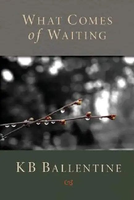 What Comes of Waiting by Kb Ballentine, 1st World Library