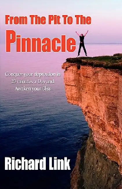 From The Pit To The Pinnacle by Richard Link, 1stworld Publishing, 1stworld Library