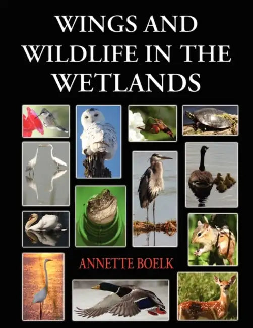 Wings and Wildlife in the Wetlands by Annette Boelk, 1st World Library