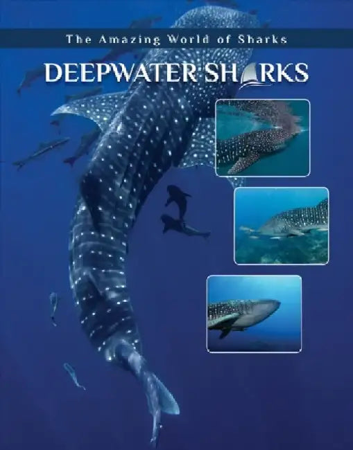 Deepwater Sharks by Joyce A. Hull